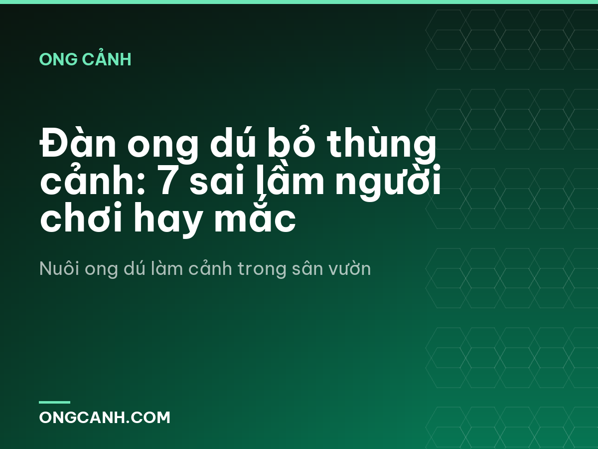 Đàn ong dú bỏ thùng cảnh: 7 sai lầm người chơi hay mắc