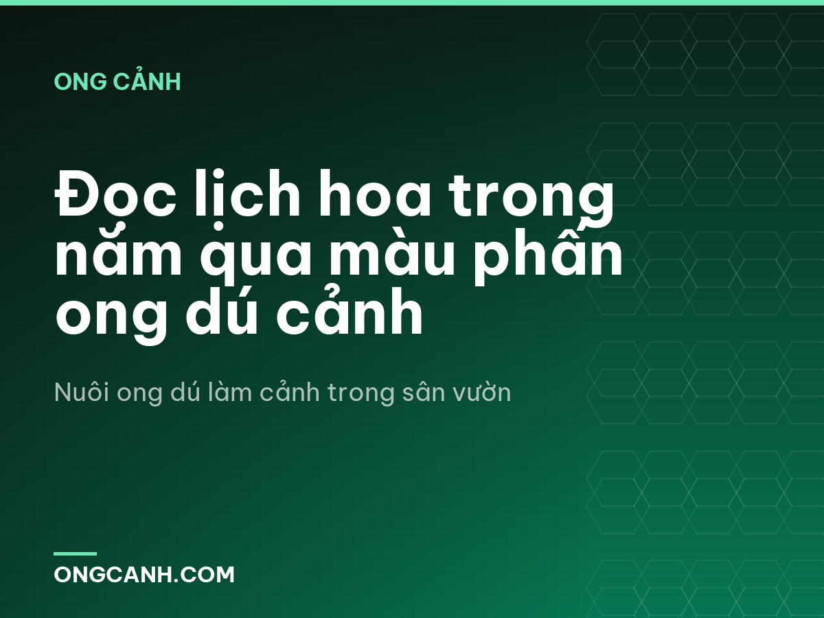Đọc lịch hoa trong năm qua màu phấn ong dú cảnh