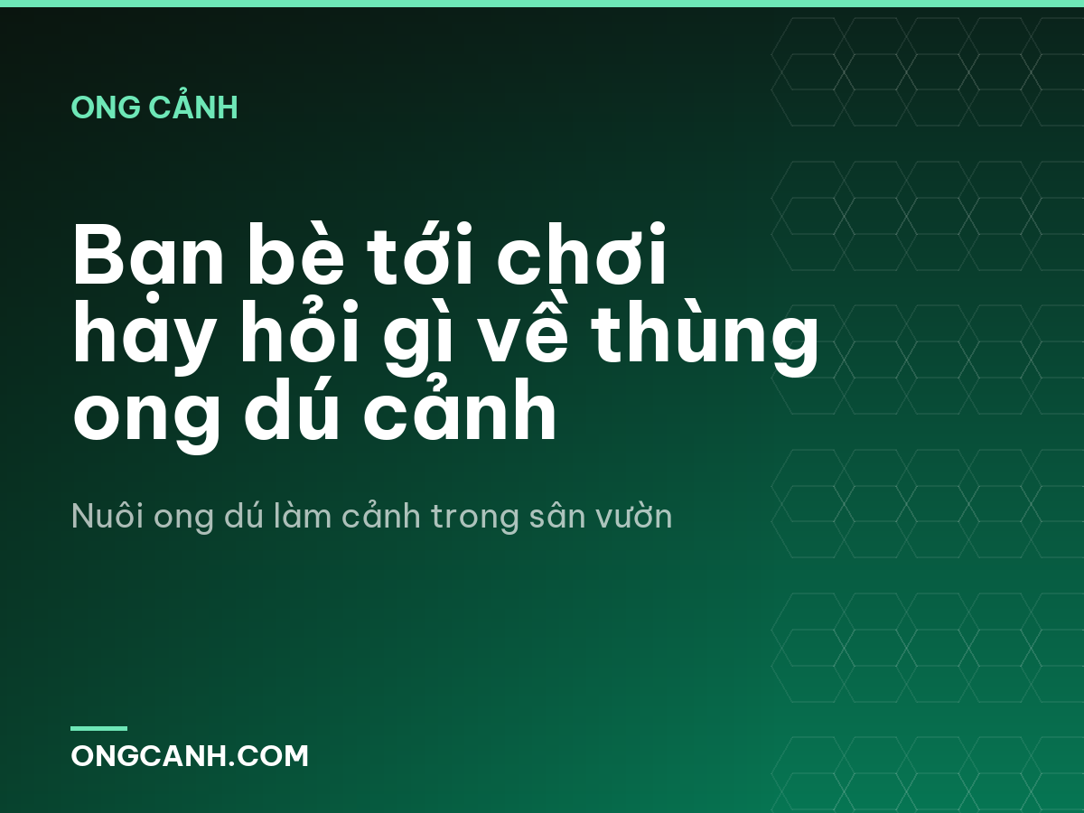 Bạn bè tới chơi hay hỏi gì về thùng ong dú cảnh