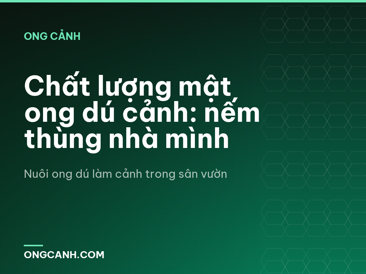 Chất lượng mật ong dú cảnh: nếm thùng nhà mình