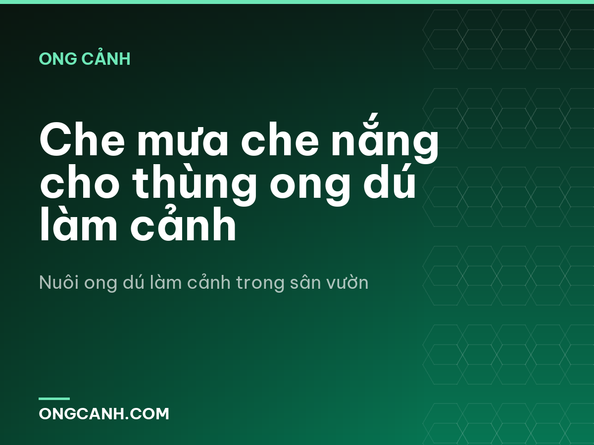 Che mưa che nắng cho thùng ong dú làm cảnh
