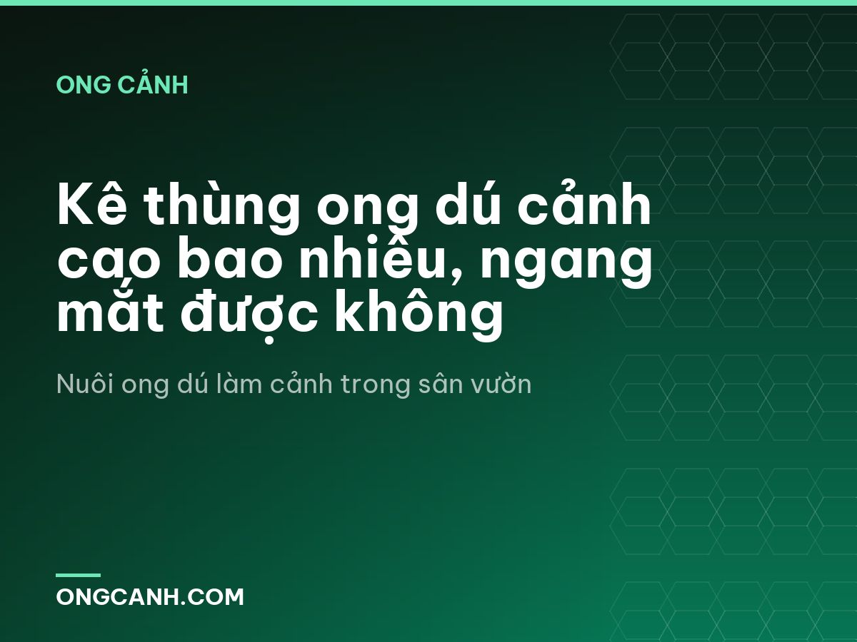 Kê thùng ong dú cảnh cao bao nhiêu, ngang mắt được không