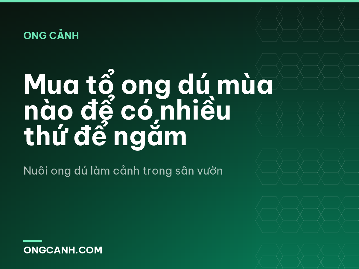 Mua tổ ong dú mùa nào để có nhiều thứ để ngắm