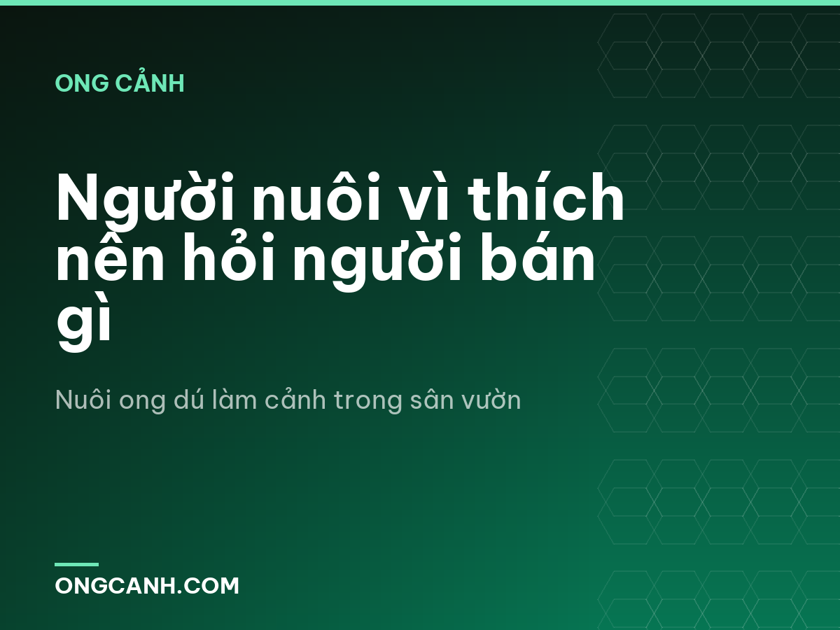 Người nuôi vì thích nên hỏi người bán gì