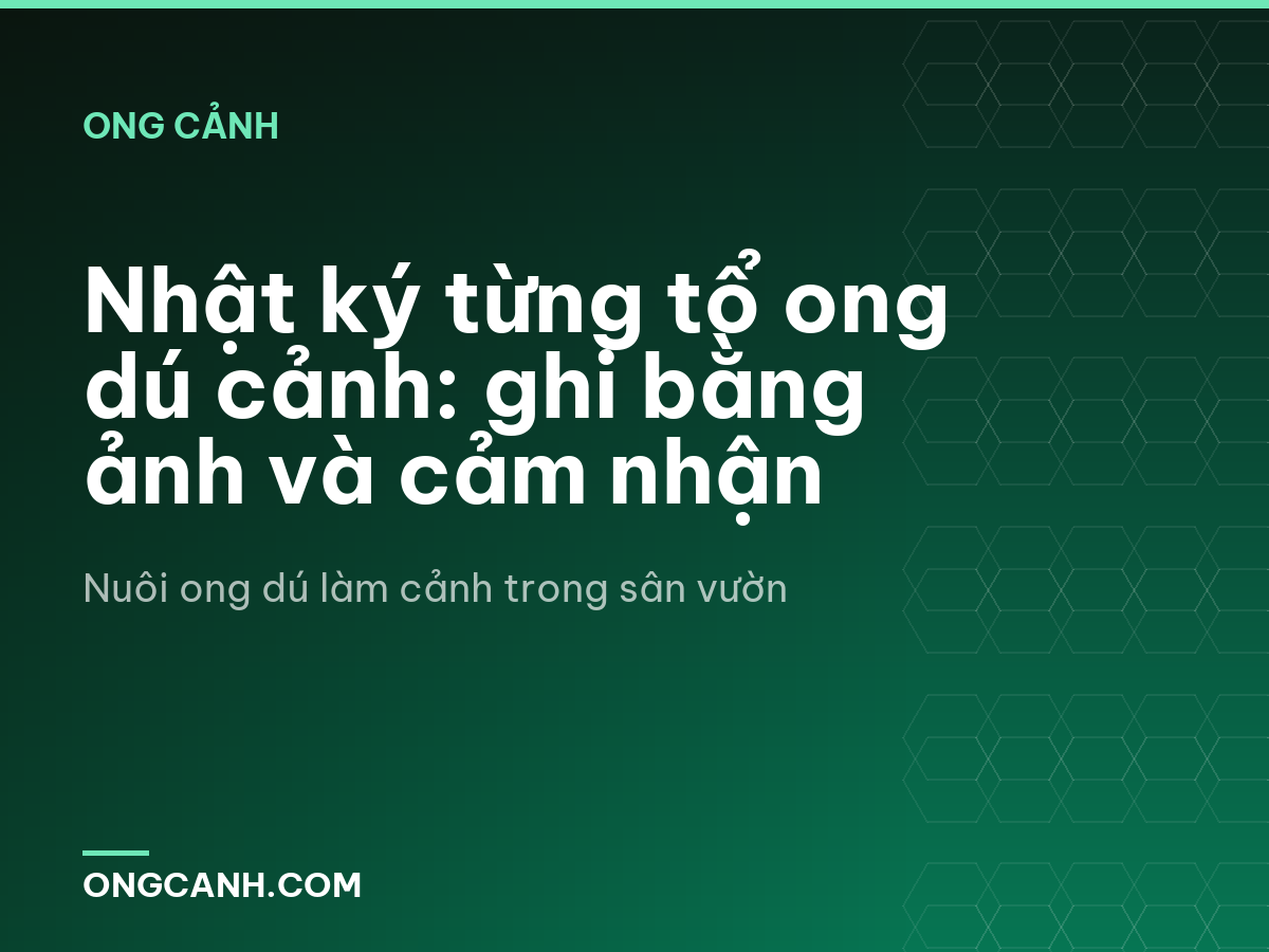 Nhật ký từng tổ ong dú cảnh: ghi bằng ảnh và cảm nhận