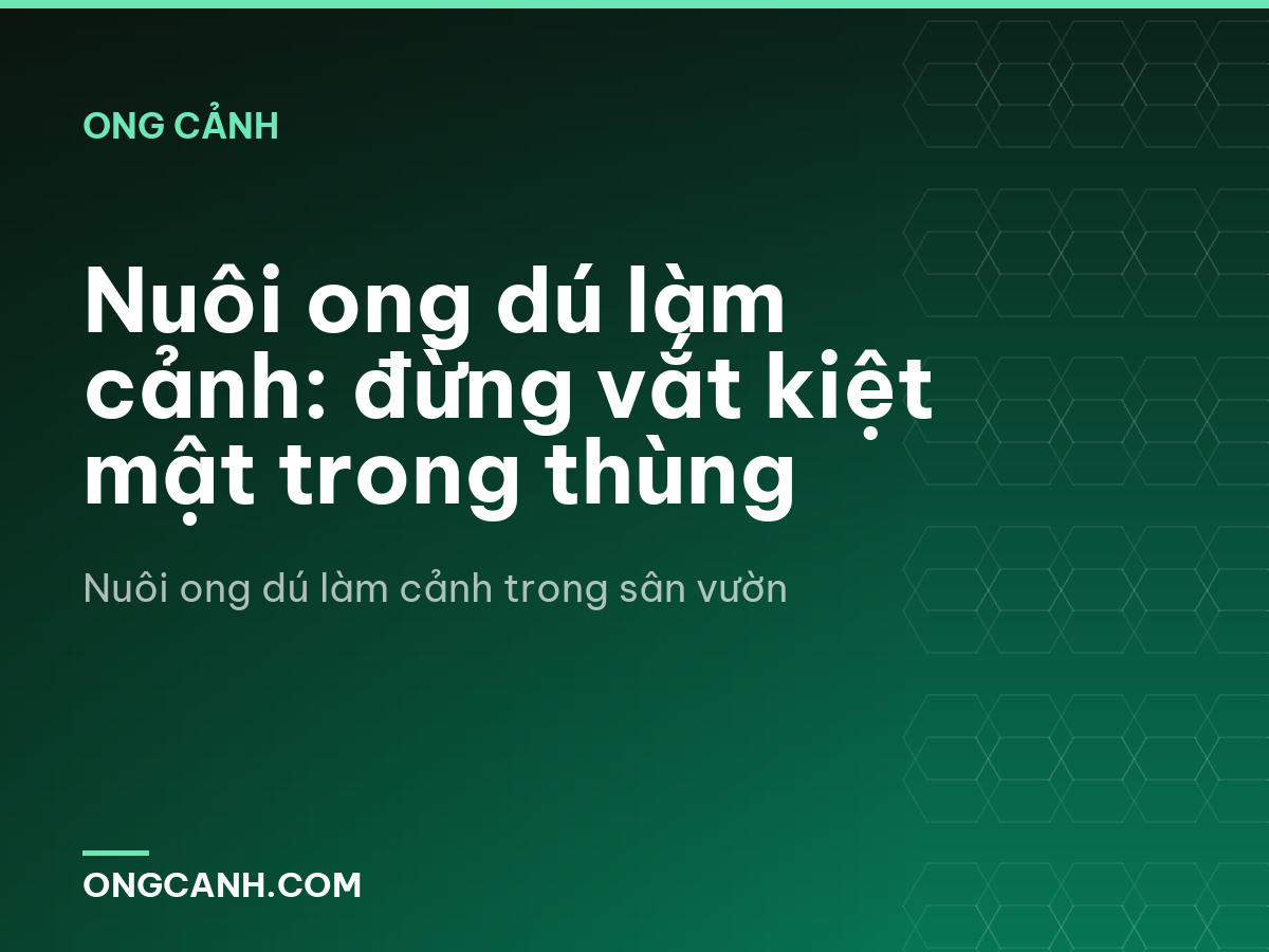 Nuôi ong dú làm cảnh: đừng vắt kiệt mật trong thùng