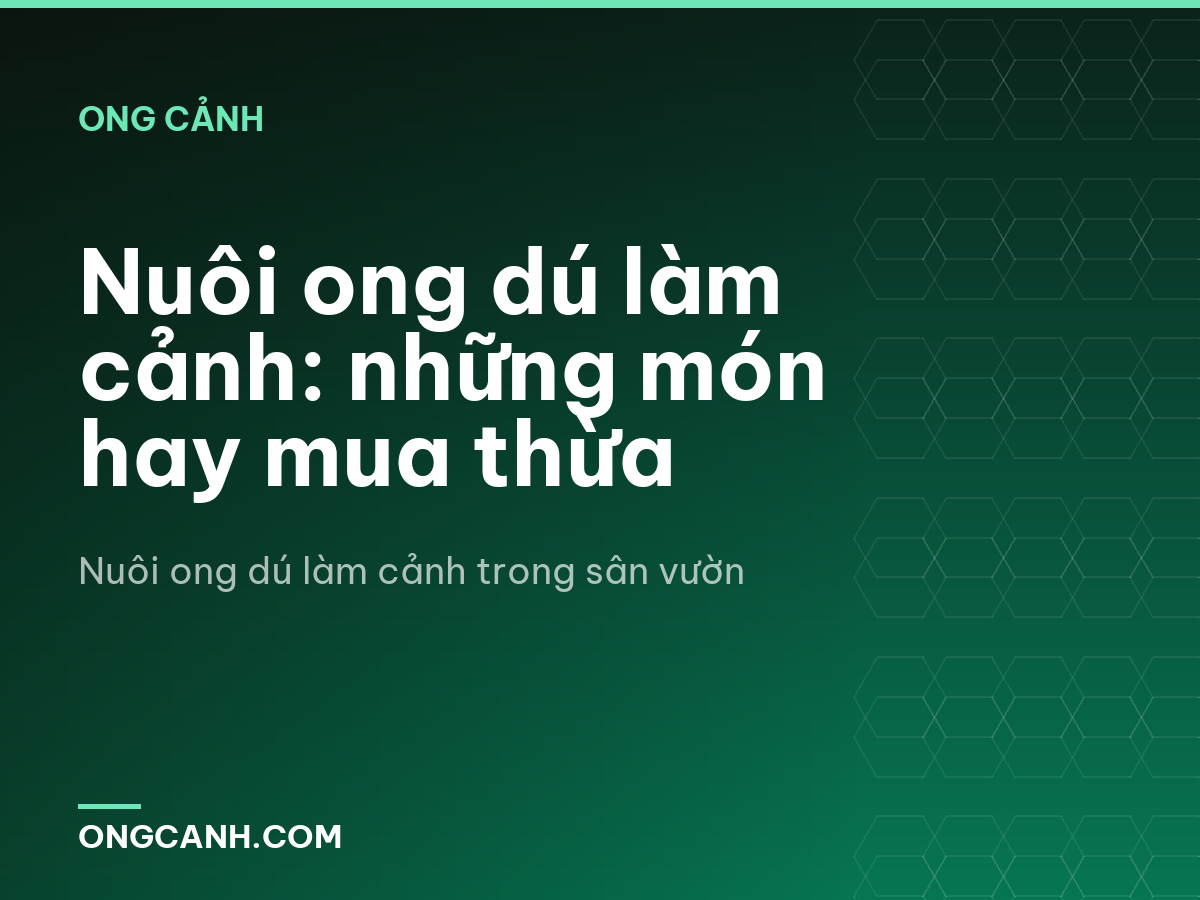 Nuôi ong dú làm cảnh: những món hay mua thừa