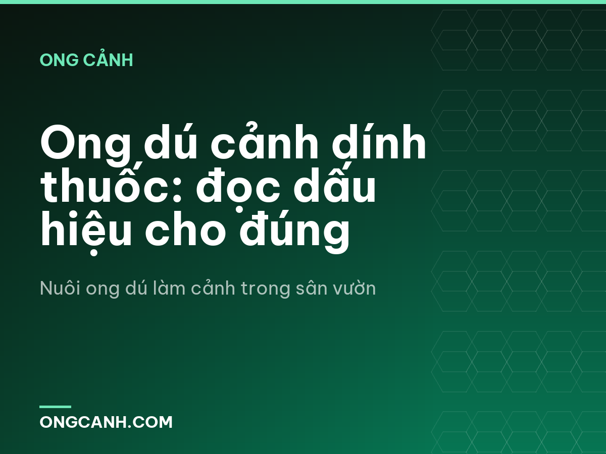 Ong dú cảnh dính thuốc: đọc dấu hiệu cho đúng