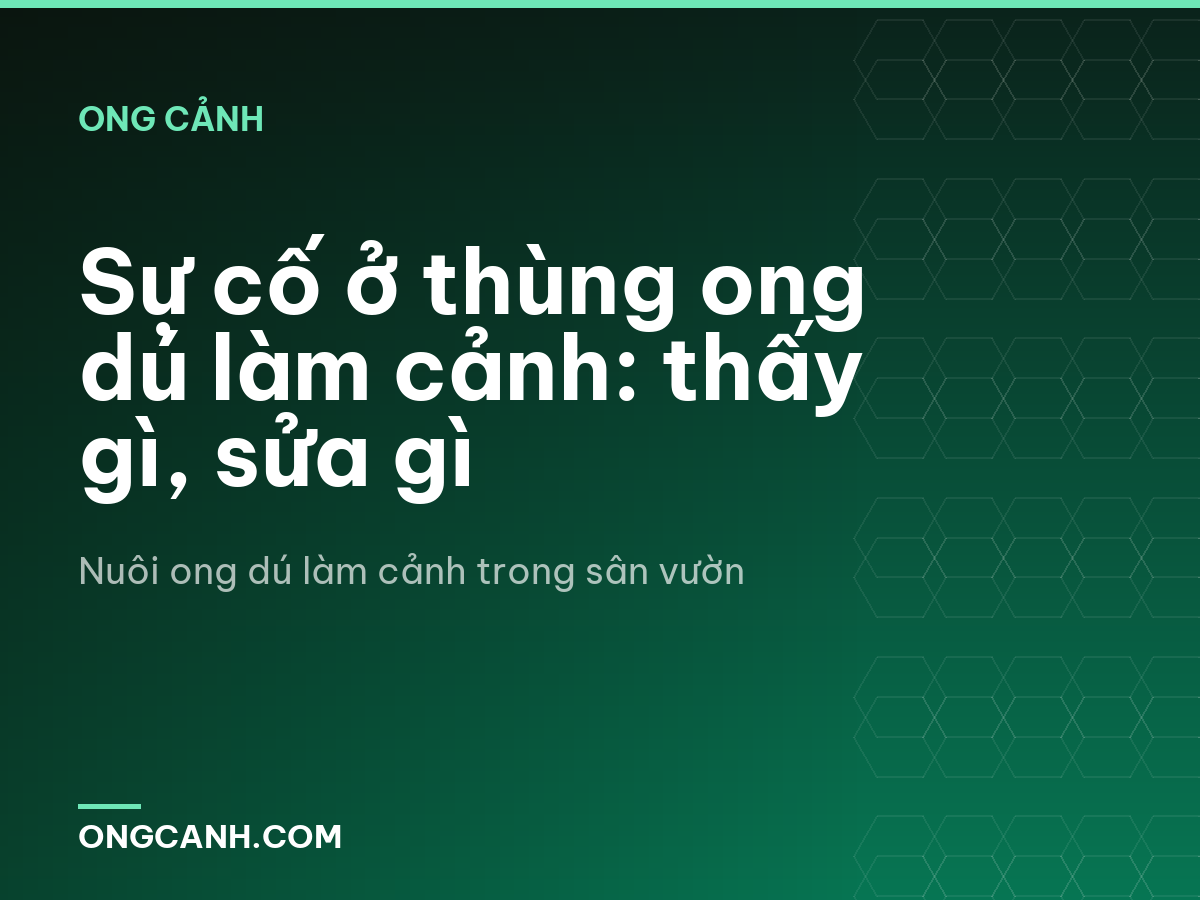 Sự cố ở thùng ong dú làm cảnh: thấy gì, sửa gì