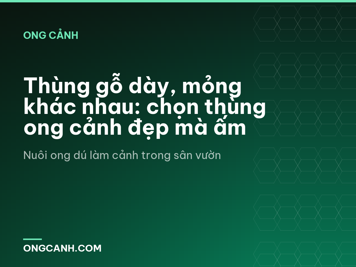 Thùng gỗ dày, mỏng khác nhau: chọn thùng ong cảnh đẹp mà ấm