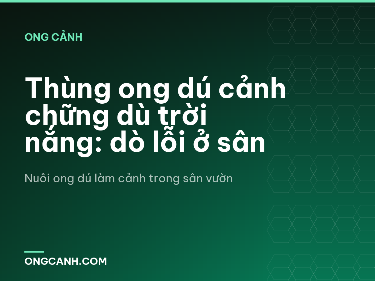 Thùng ong dú cảnh chững dù trời nắng: dò lỗi ở sân