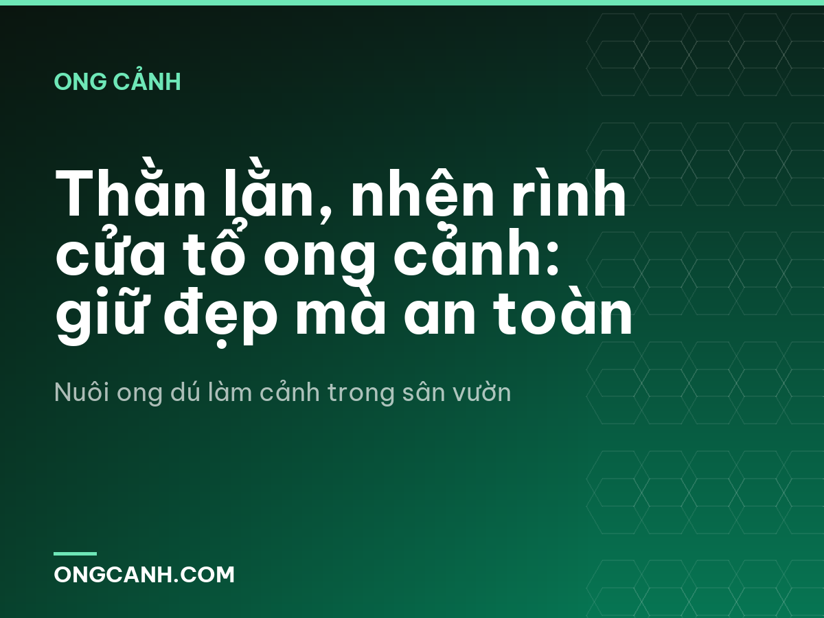 Thằn lằn, nhện rình cửa tổ ong cảnh: giữ đẹp mà an toàn