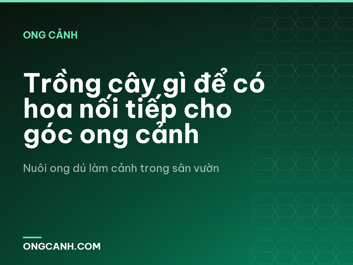 Trồng cây gì để có hoa nối tiếp cho góc ong cảnh