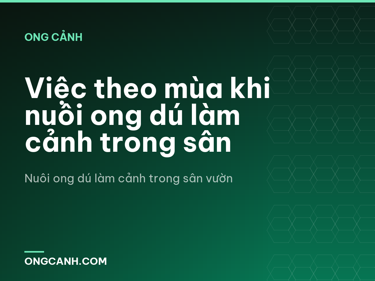 Việc theo mùa khi nuôi ong dú làm cảnh trong sân
