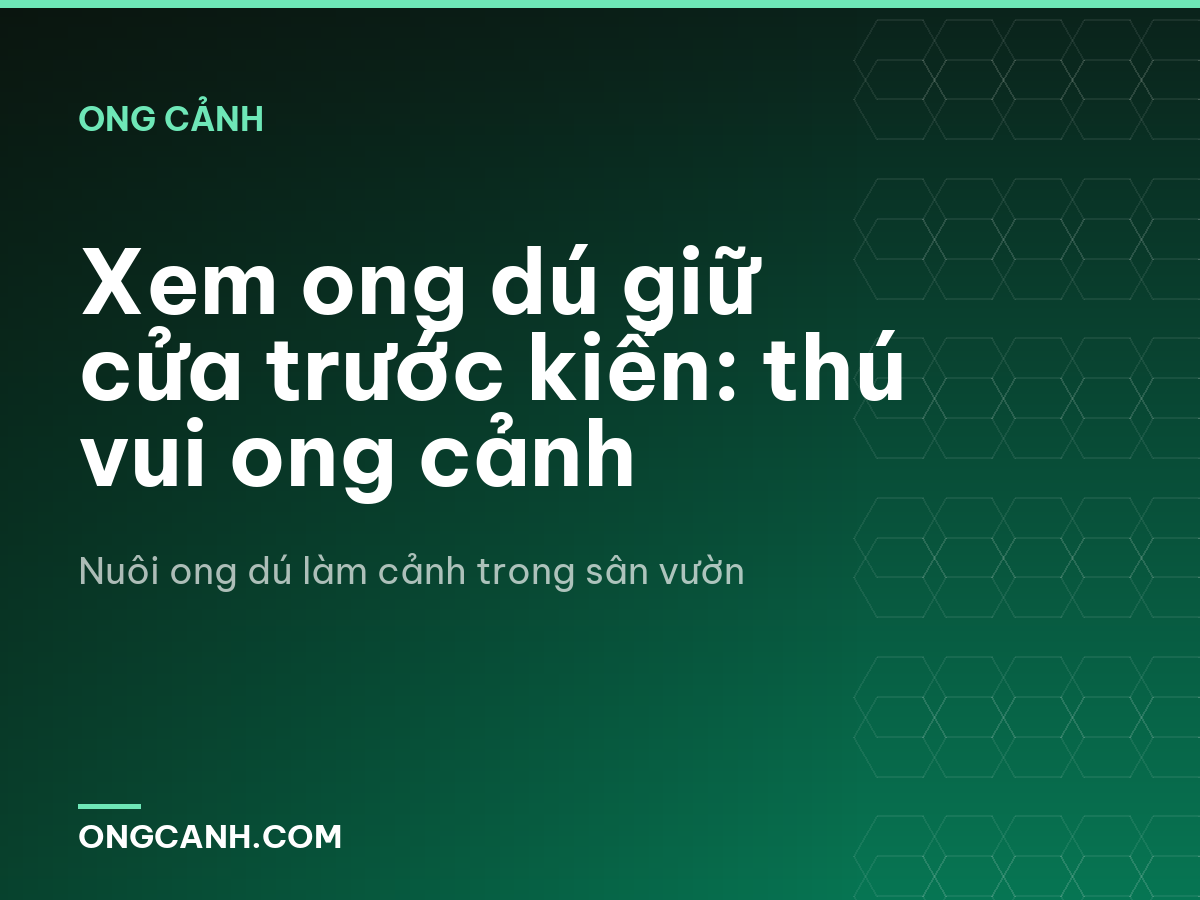 Xem ong dú giữ cửa trước kiến: thú vui ong cảnh