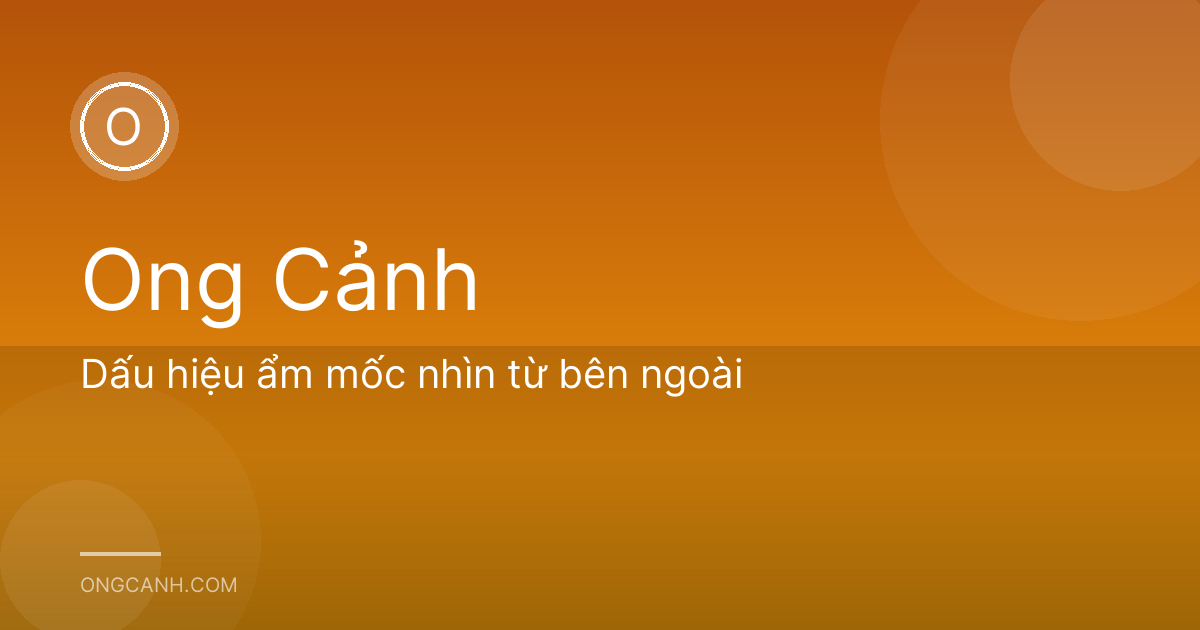 Dấu hiệu ẩm mốc nhìn từ bên ngoài