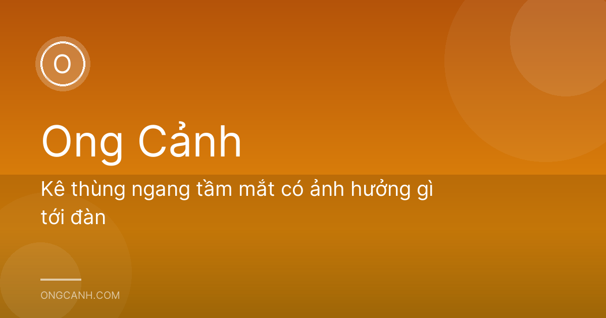Kê thùng ngang tầm mắt có ảnh hưởng gì tới đàn