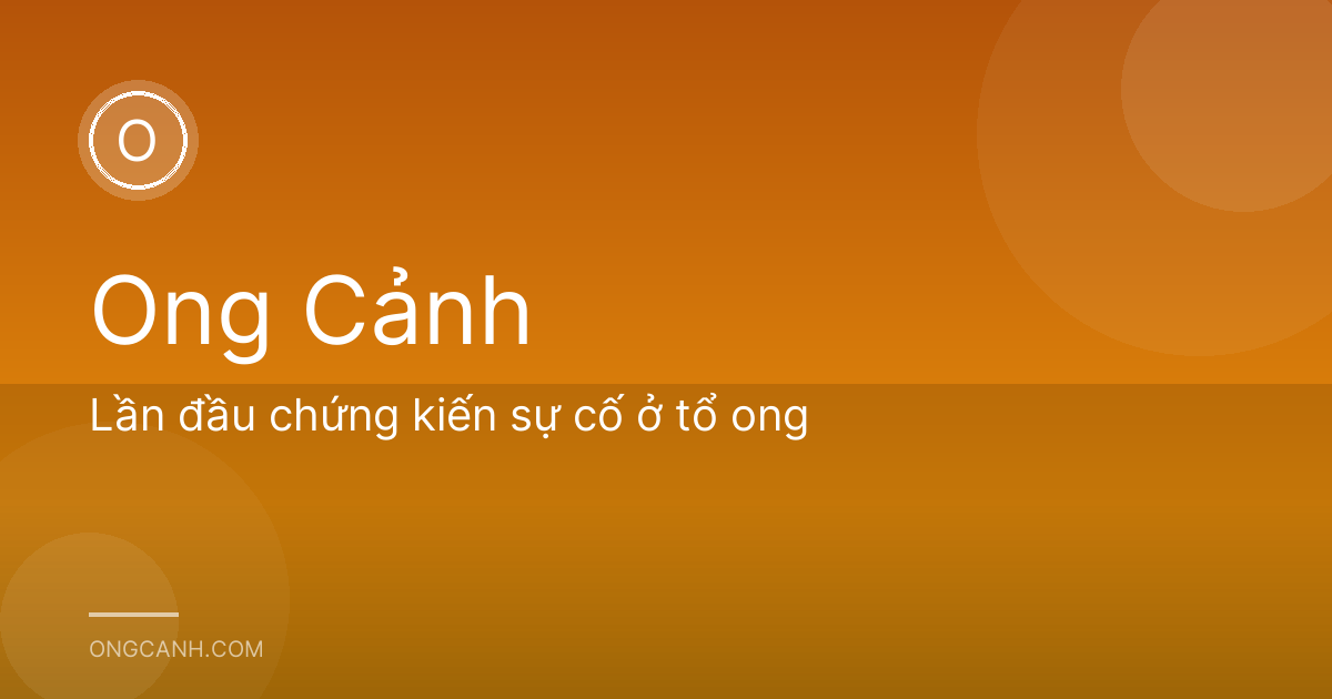 Lần đầu chứng kiến sự cố ở tổ ong
