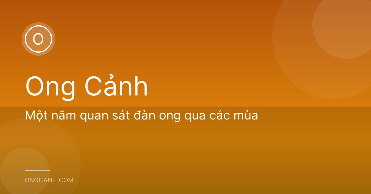 Một năm quan sát đàn ong qua các mùa