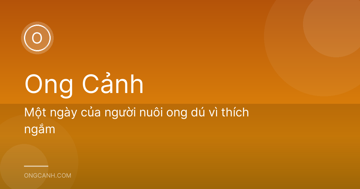 Một ngày của người nuôi ong dú vì thích ngắm
