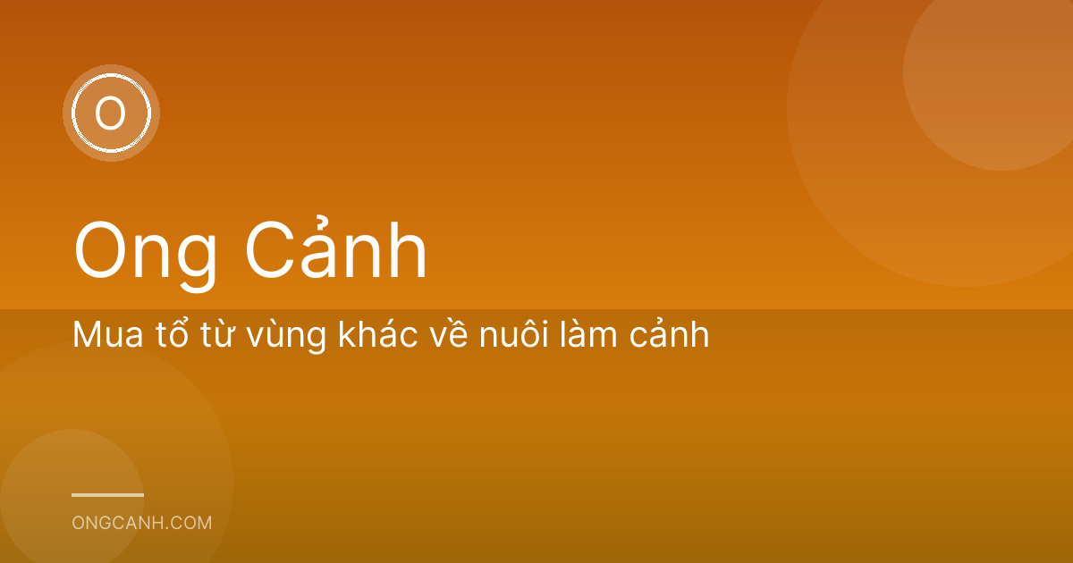 Mua tổ từ vùng khác về nuôi làm cảnh