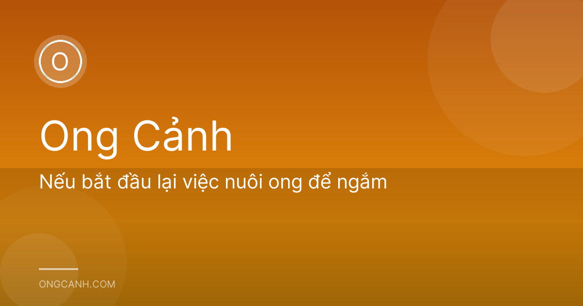 Nếu bắt đầu lại việc nuôi ong để ngắm
