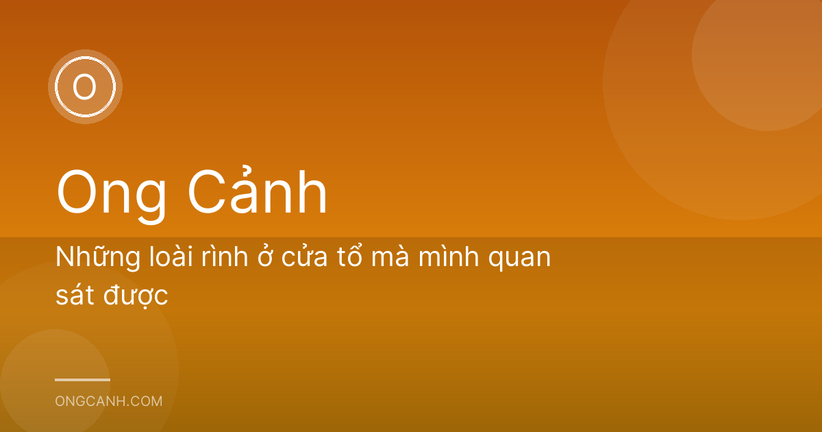 Những loài rình ở cửa tổ mà mình quan sát được