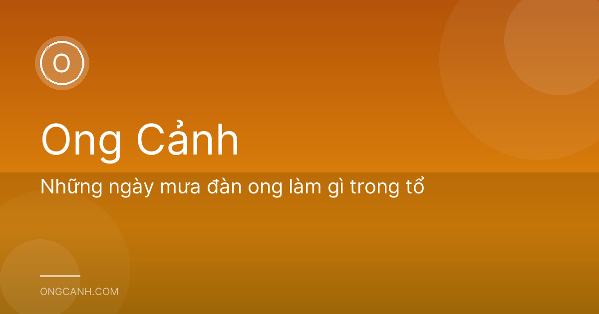 Những ngày mưa đàn ong làm gì trong tổ